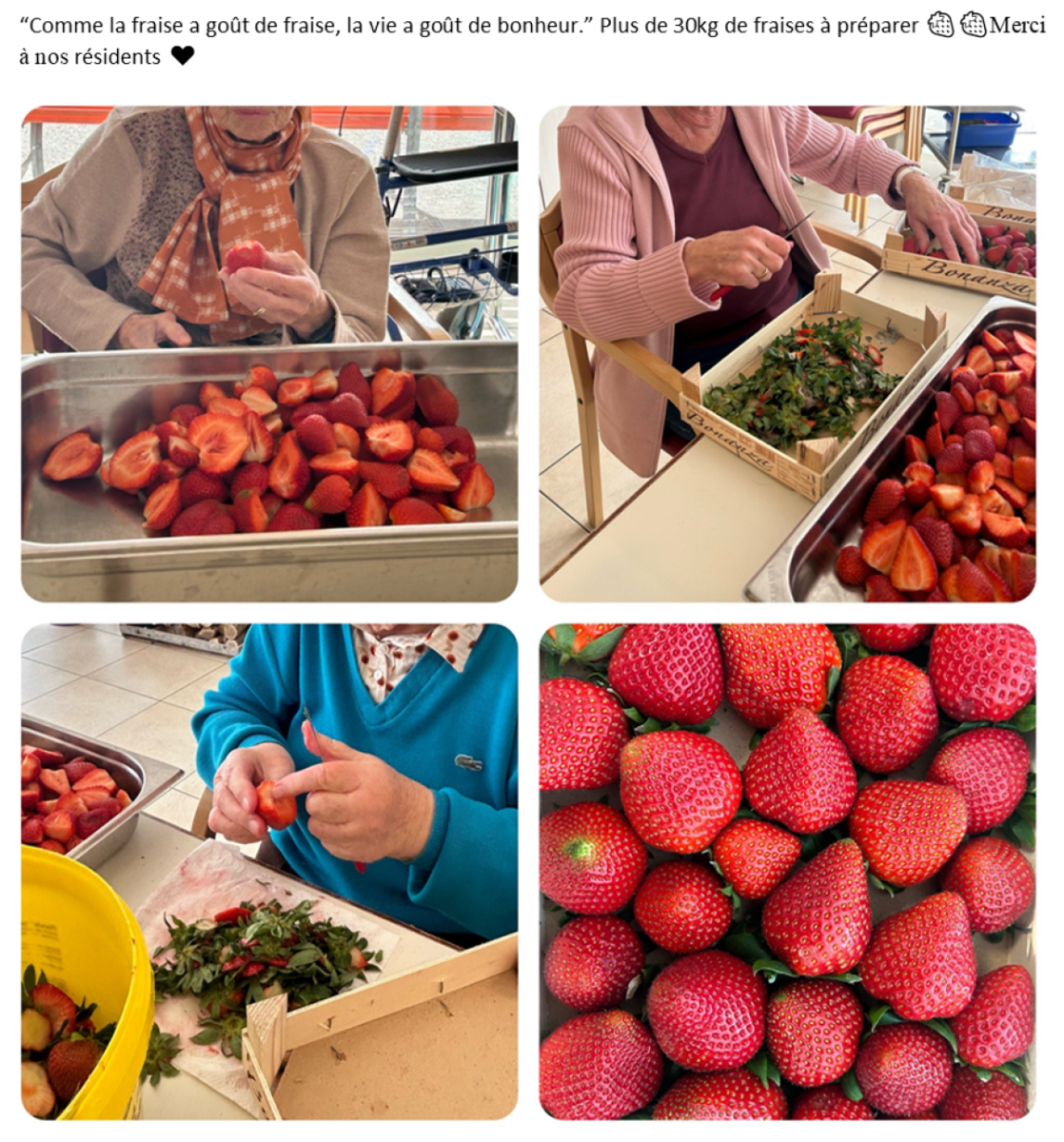 Fraises 2024.jpg