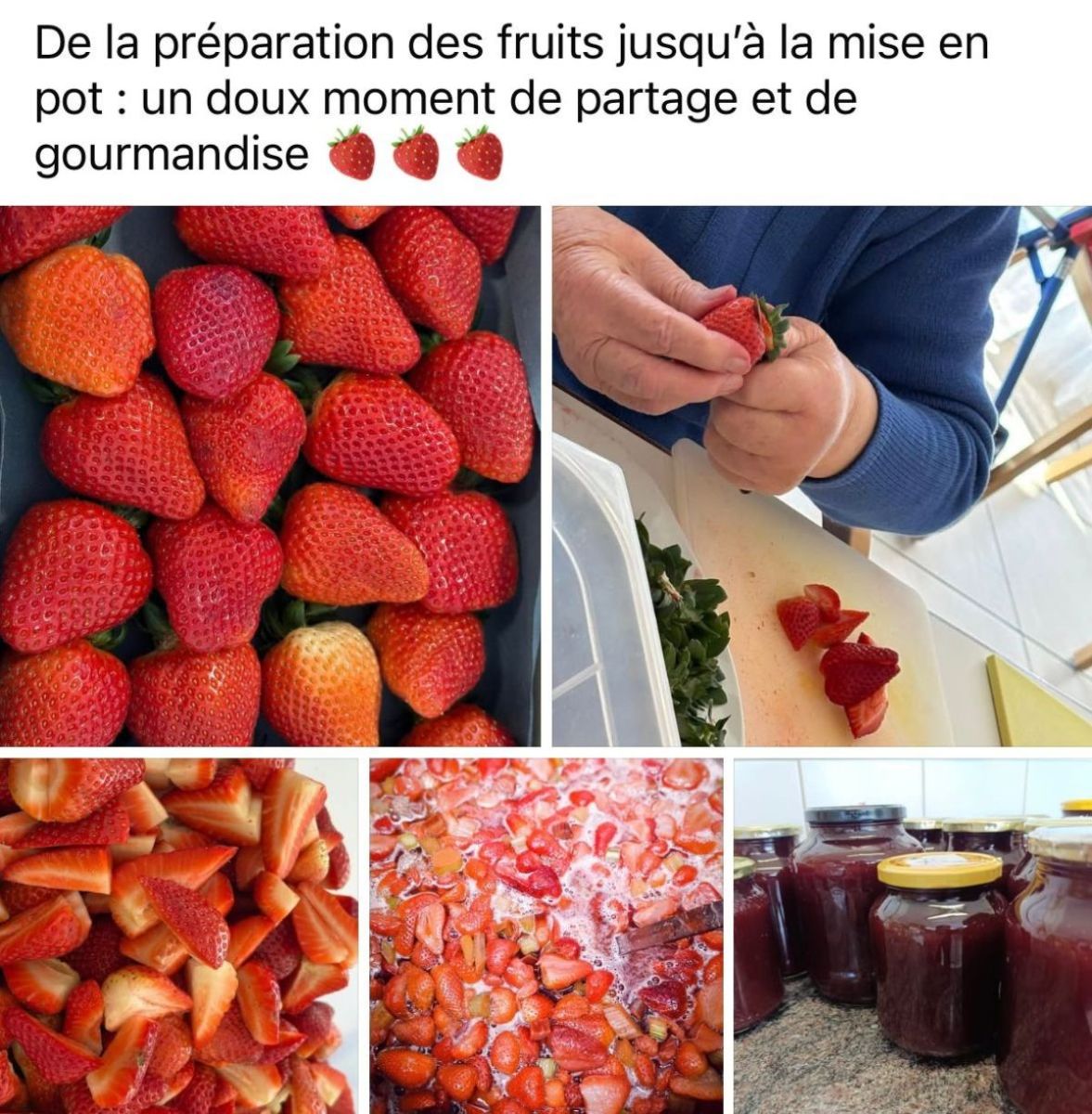Fraises 2025