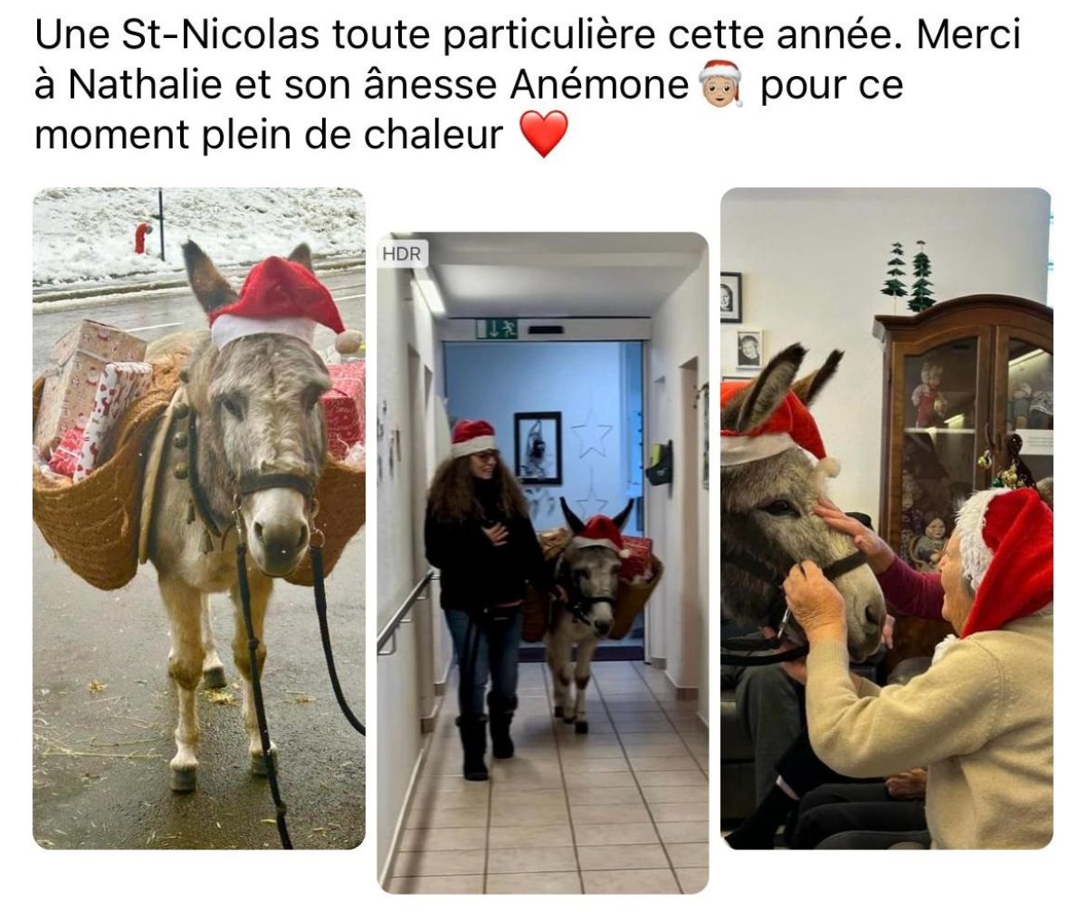 St-Nicolas 2023